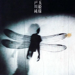 大肉大捧一出一进免费视频
