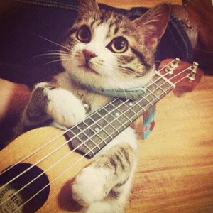 大肉大捧一出一进免费视频
